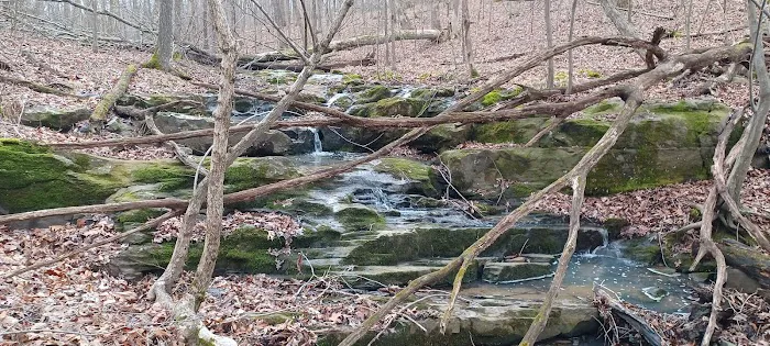 Buck Ridge Campground Picture 7