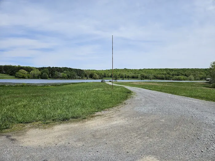 Tall Tree Lake Picture 5