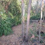 Main Brothers Campground