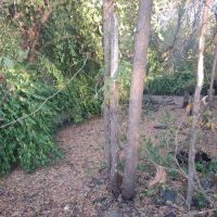 Main Brothers Campground ico