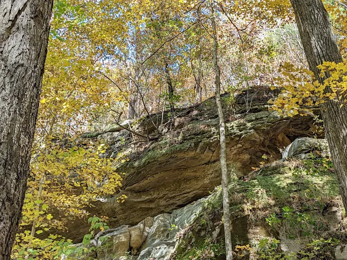 Turkey Ridge Campground - Ferne Clyffe Picture 8