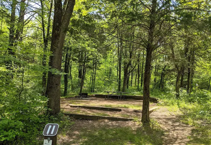 Turkey Ridge Campground - Ferne Clyffe Picture 2