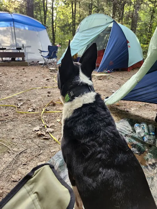 Turkey Ridge Campground - Ferne Clyffe Picture 1