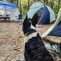 Turkey Ridge Campground - Ferne Clyffe ico
