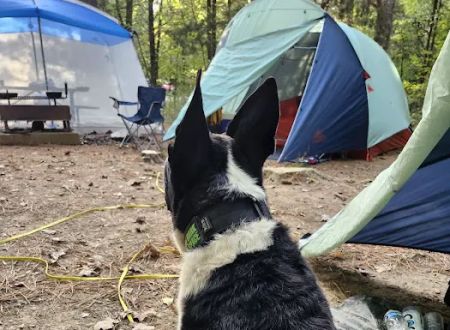 Turkey Ridge Campground - Ferne Clyffe