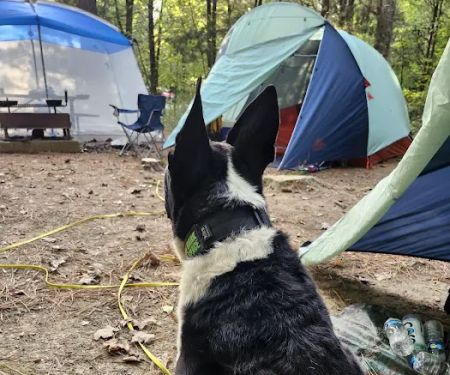Turkey Ridge Campground - Ferne Clyffe