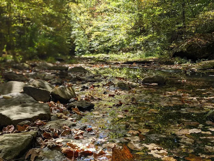 Turkey Ridge Campground - Ferne Clyffe Picture 5