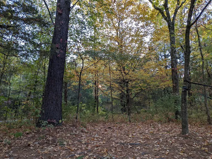 Turkey Ridge Campground - Ferne Clyffe Picture 7
