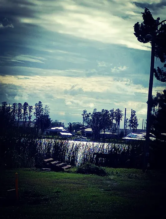 Lake Padgett Mobile Home Village Picture 10