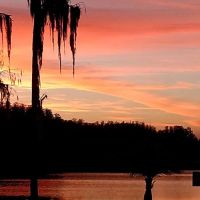 Lake Padgett Mobile Home Village ico