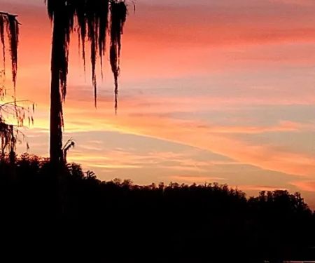 Lake Padgett Mobile Home Village
