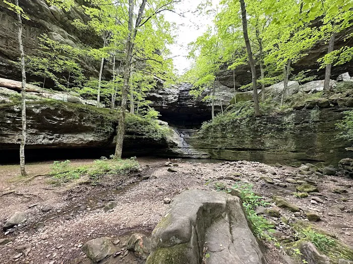 Ferne Clyffe State Park Campsite Loop Picture 2