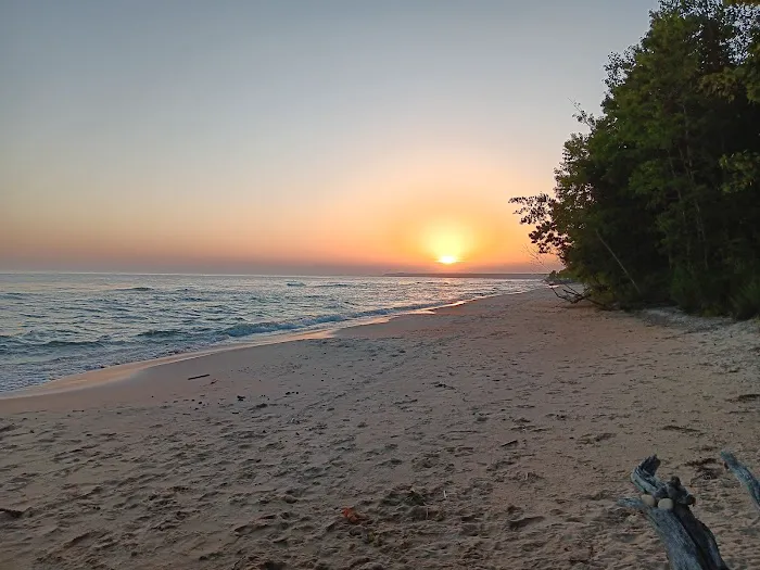 Lake Michigan Campground Picture 7