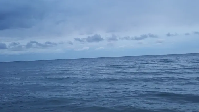 Lake Michigan Campground Picture 6
