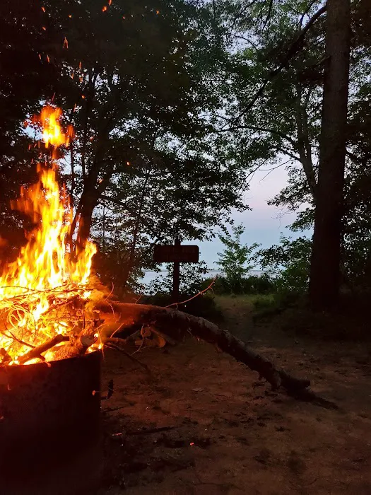 Brevort Lake Campground Picture 6