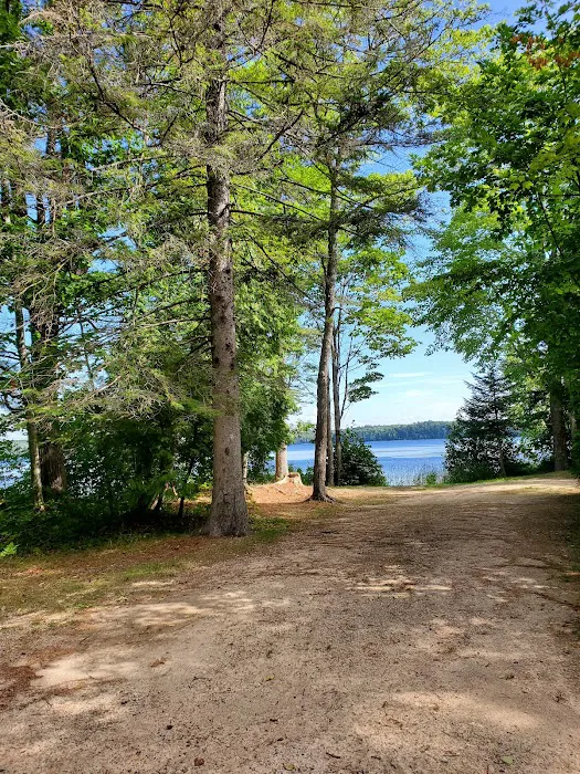 Brevort Lake Campground Picture 5