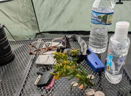 Trout Lake Township Campground
