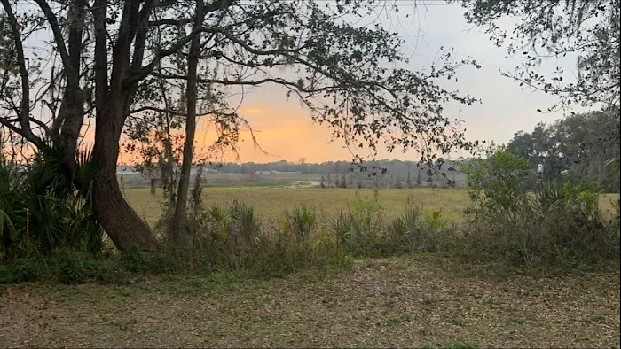 Zephyrhills, Fl Picture 1