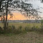 Zephyrhills, Fl