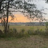 Zephyrhills, Fl ico