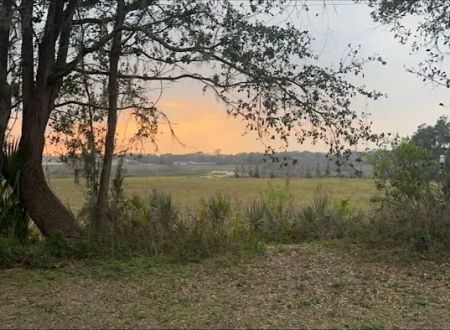 Zephyrhills, Fl