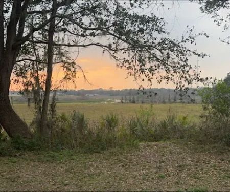 Zephyrhills, Fl