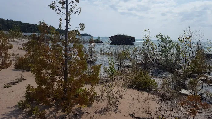 DeTour State Forest Campground Picture 2