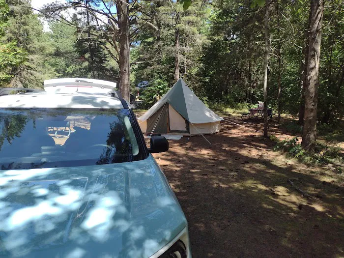 DeTour State Forest Campground Picture 1