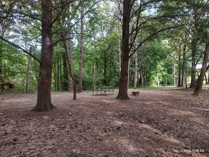 Condit's Ranch Picture 9