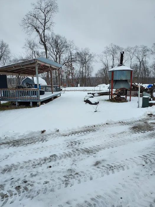 Bureau County Camping Picture 8