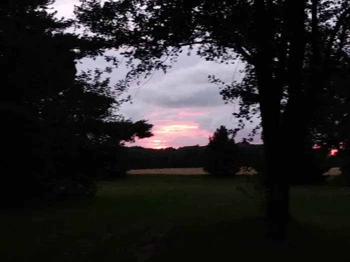 Pine View Campground Picture 1
