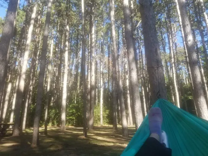 Pine View Campground Picture 3