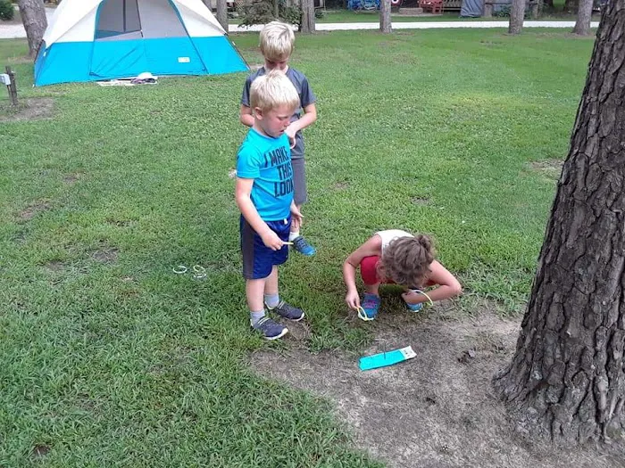 Pine View Campground Picture 8
