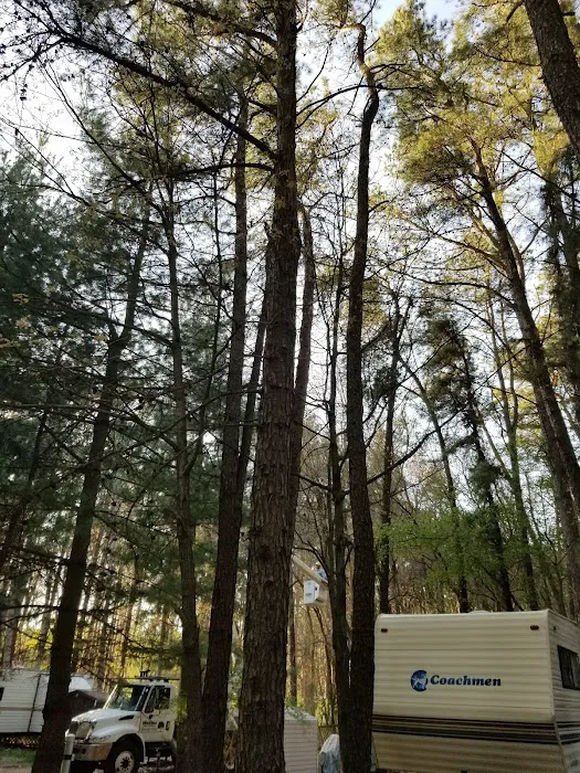 Pine View Campground Picture 5