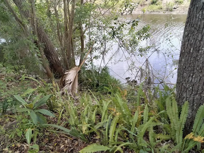 Water's Edge Mobile Home Park (55+) Picture 3