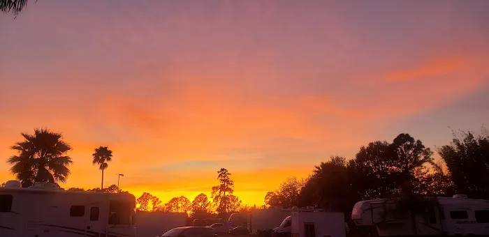 Daytona RV Park Picture 5