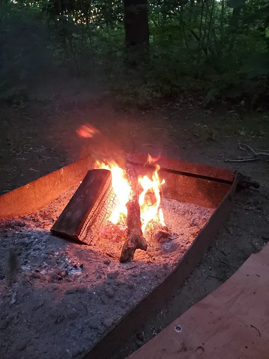Hononegah Forest Preserve Campground Picture 10