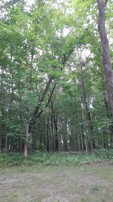 Hononegah Forest Preserve Campground Picture 4