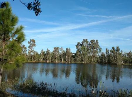 Lathroms Landing Rv Park South