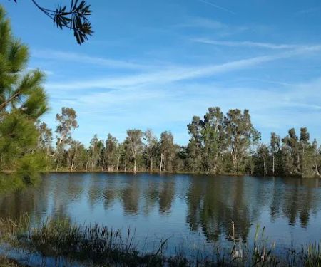Lathroms Landing Rv Park South