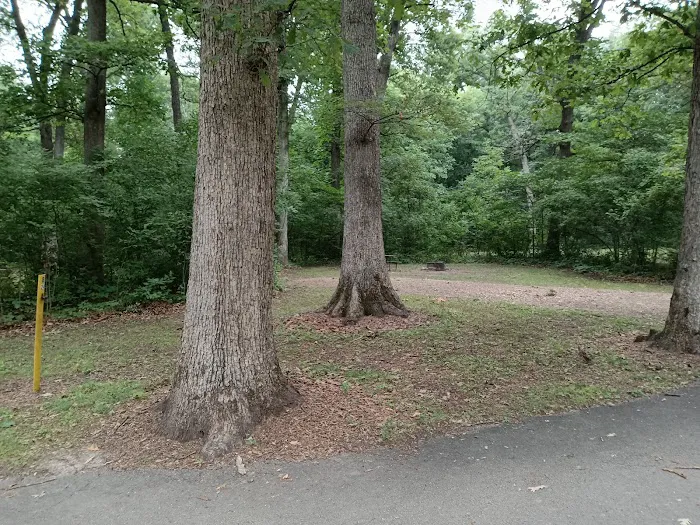 White Oak Campground Picture 9