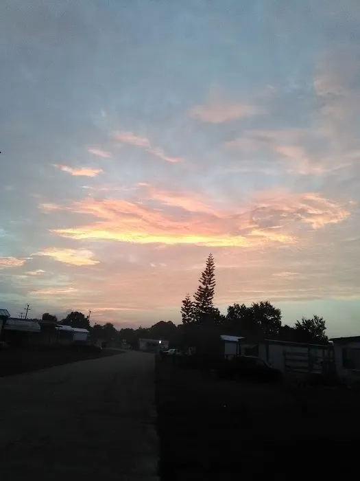 Pinewood Village Mobile Home Park Picture 2