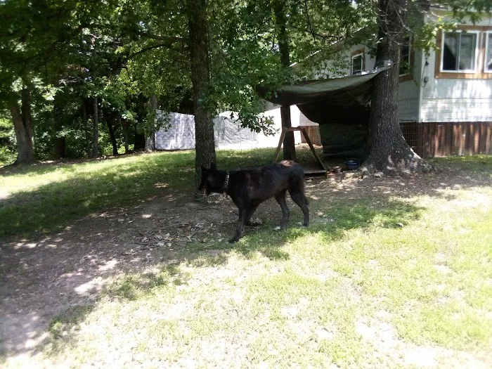 State Line RV Park Picture 2