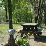 7C's RV Park