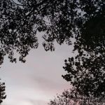 Bar B RV Park