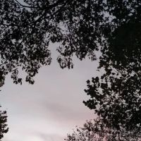 Bar B RV Park ico