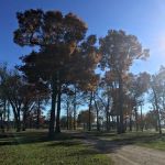 Elkhorn Campgrounds