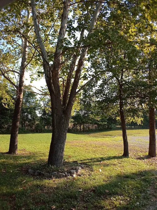 Branson View Estates Mobile Home Park Picture 10