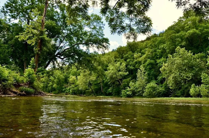 Bull Creek RV Park Picture 9