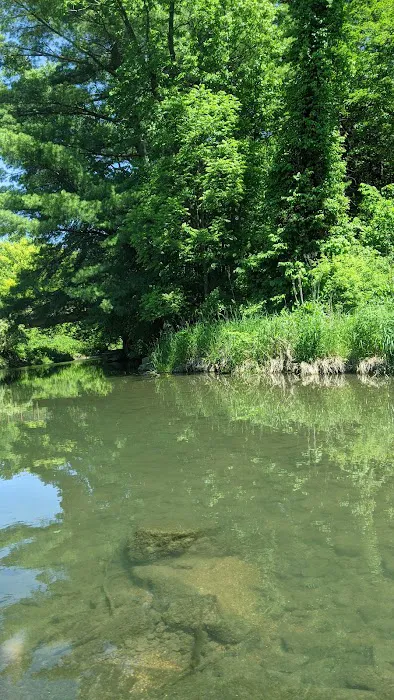 Sunny Crest Family Campground Picture 5